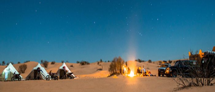 the al qudra desert life