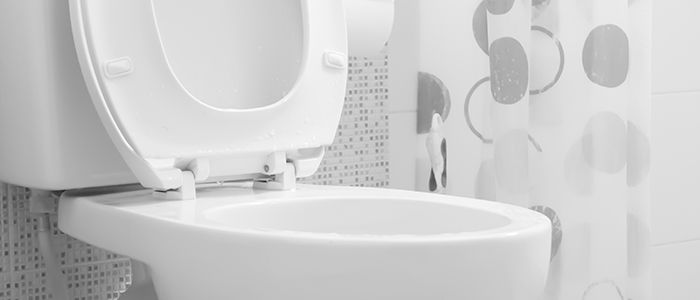 toilet history museum