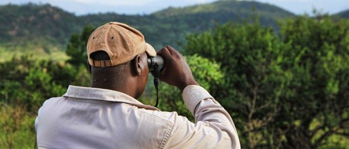 Guide to Africa Safari Trips - trust guide on african safari