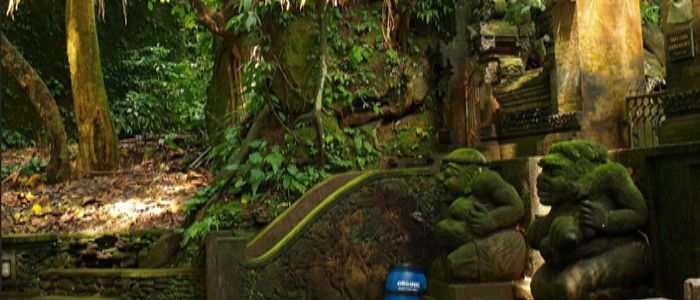 places to visit in ubud- ubud monkey forest