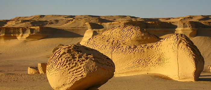 wadi el hitan