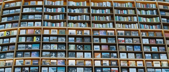 Visit Saudi Arabia without leaving home: What to Read?
