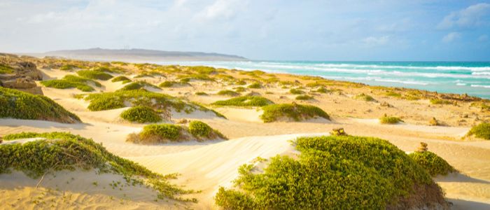 year round destination cape verde islands