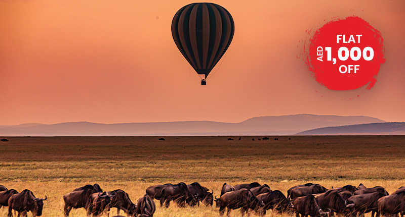 A Journey Through East Africa