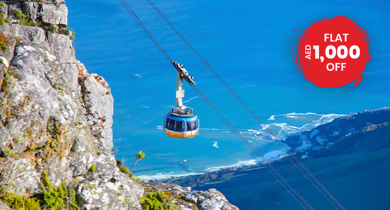 A Tour Across Cape Town