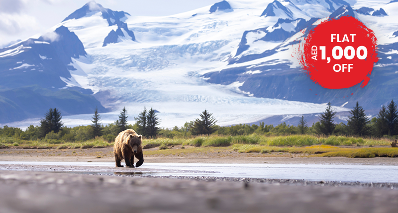 An Alaskan Wilderness Adventure