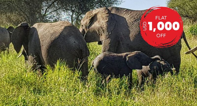 Craters & Valleys Package