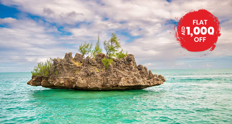  Enjoy A Cruise and A Vacation In Mauritius