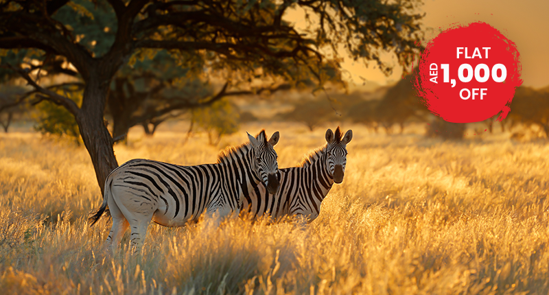 Explore South Africa