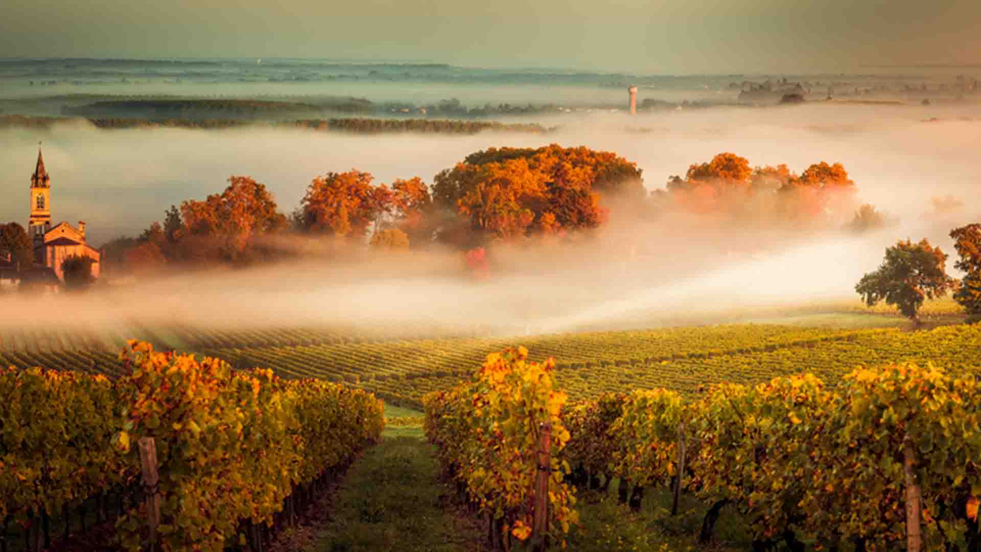 {{ no such element: dict object['name'] }}