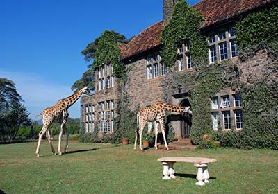 Giraffe Centre