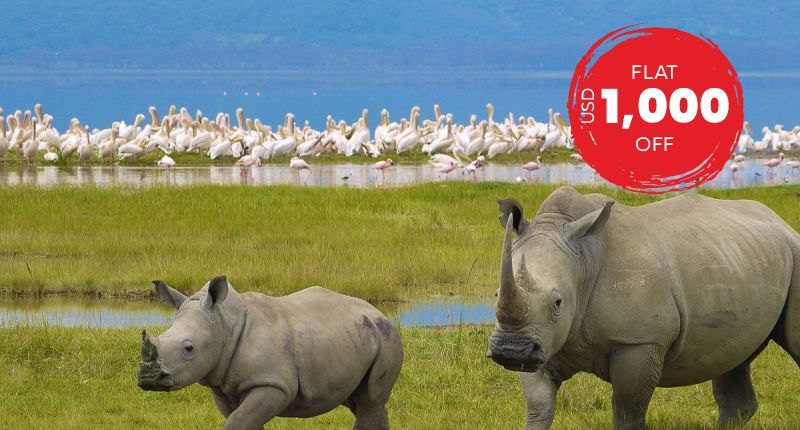 Go On An Epic Safari Adventure With Our Kenya Classic Tour