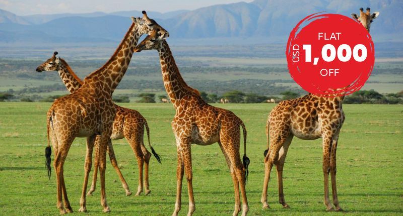 Hail Adventure with the Amazing Lakes and Caldera Safari Package, Tanzania