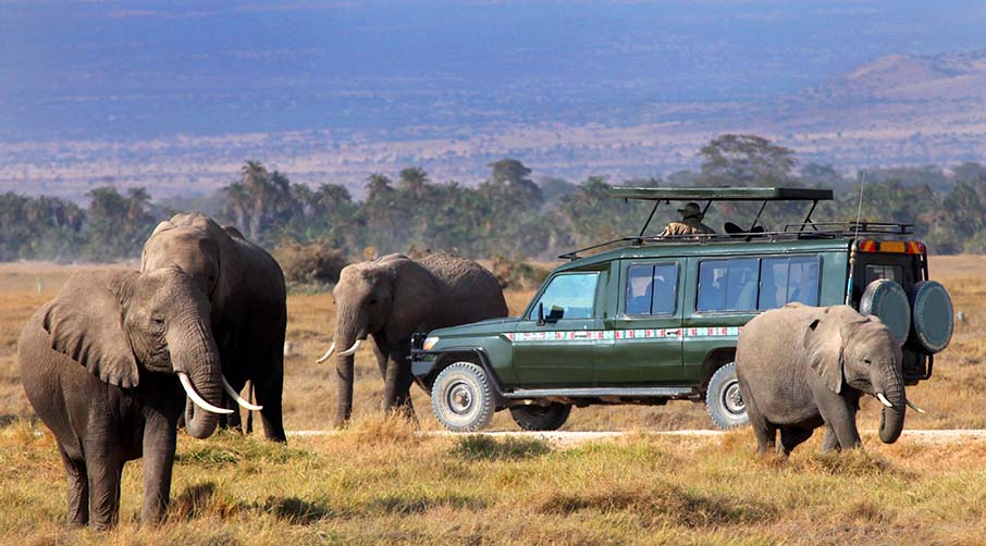 Thrilling Kenya