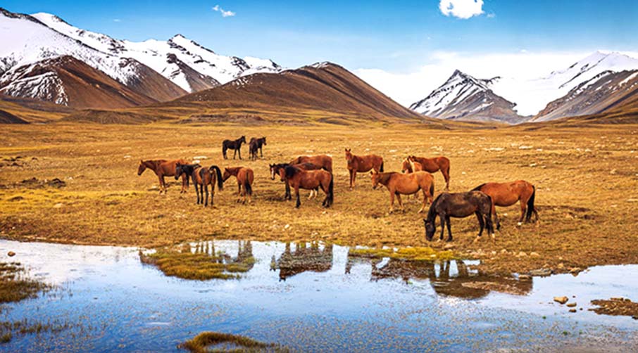 Amazing Kyrgyzstan