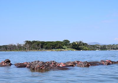 Mesmerising Lake Naivasha