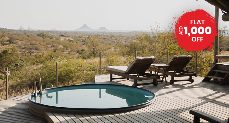 Perfect South Africa Safari by Private Air