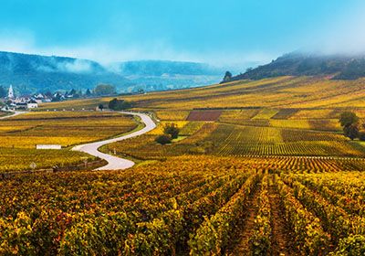 Picturesque Burgundy