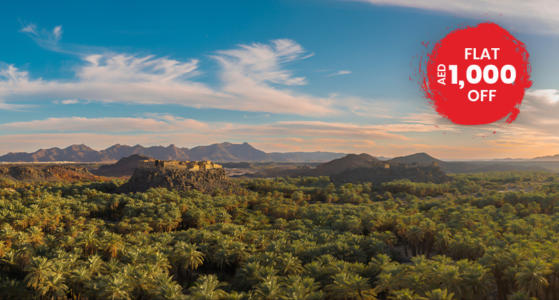 Saudi’s Khaybar Heritage Tour