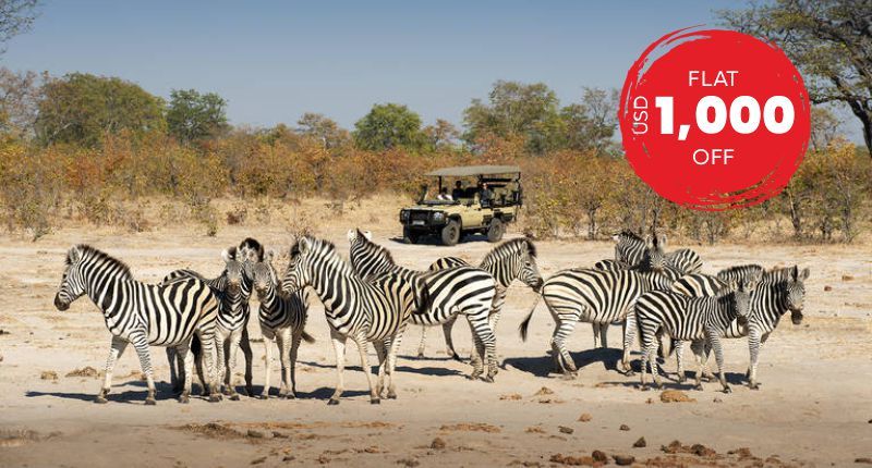 Simba Safari Sopa Lodge