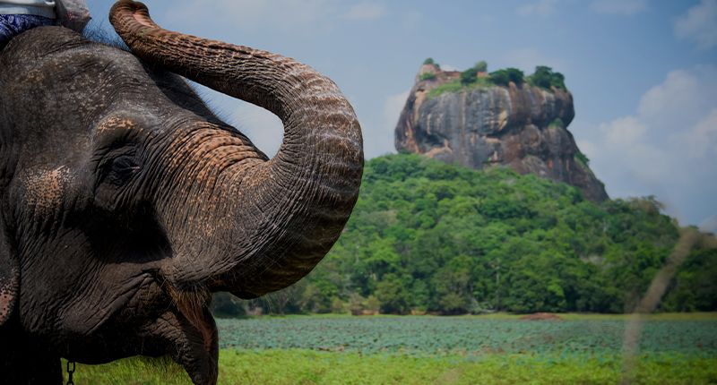 Holiday In Enchanting Sri Lanka