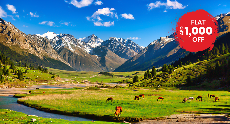 Tour Across The Land Of Horses