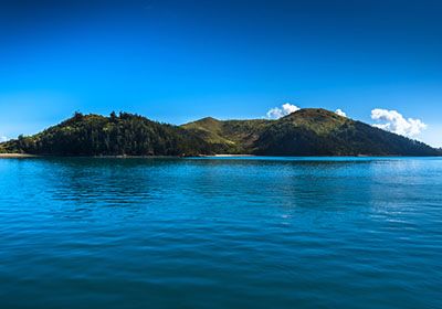 Vibrant Coral Island 