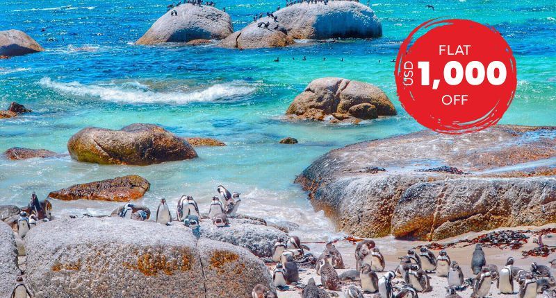 Welcome To The Rainbow Nation South Africa