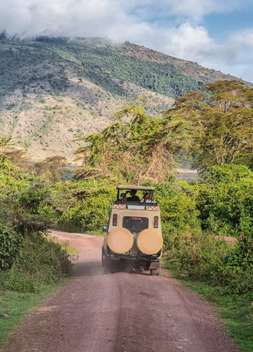 Wildlife Holiday Packages