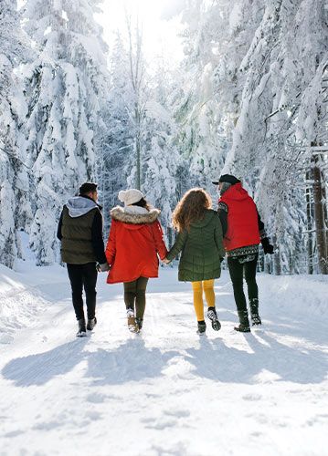 Hill Stations Holiday