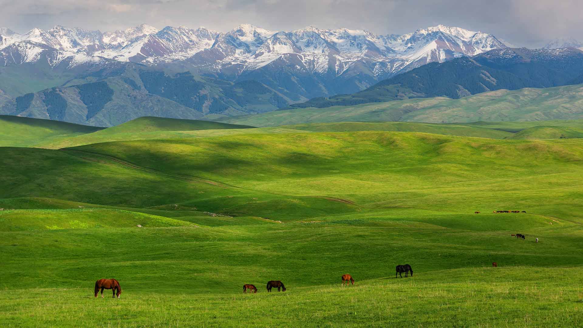 {{ no such element: dict object['name'] }}