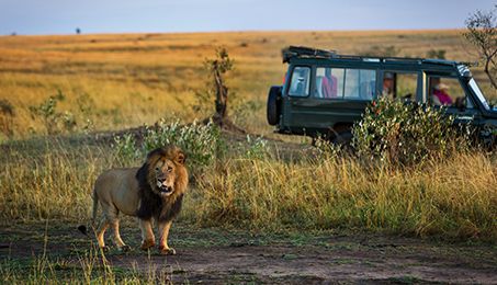 Exotic Kenya