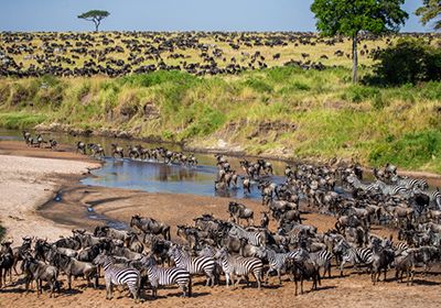 The Iconic Maasai Mara National Reserve