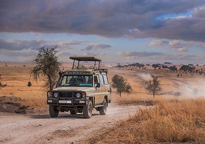 Thrilling Game Drives
