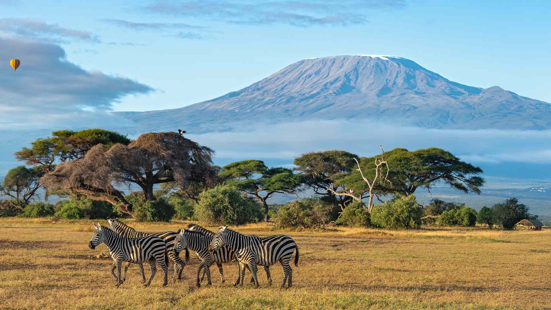 {{ no such element: dict object['name'] }}