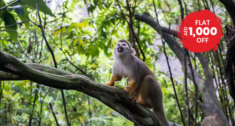 Fun Filled Singapore Break