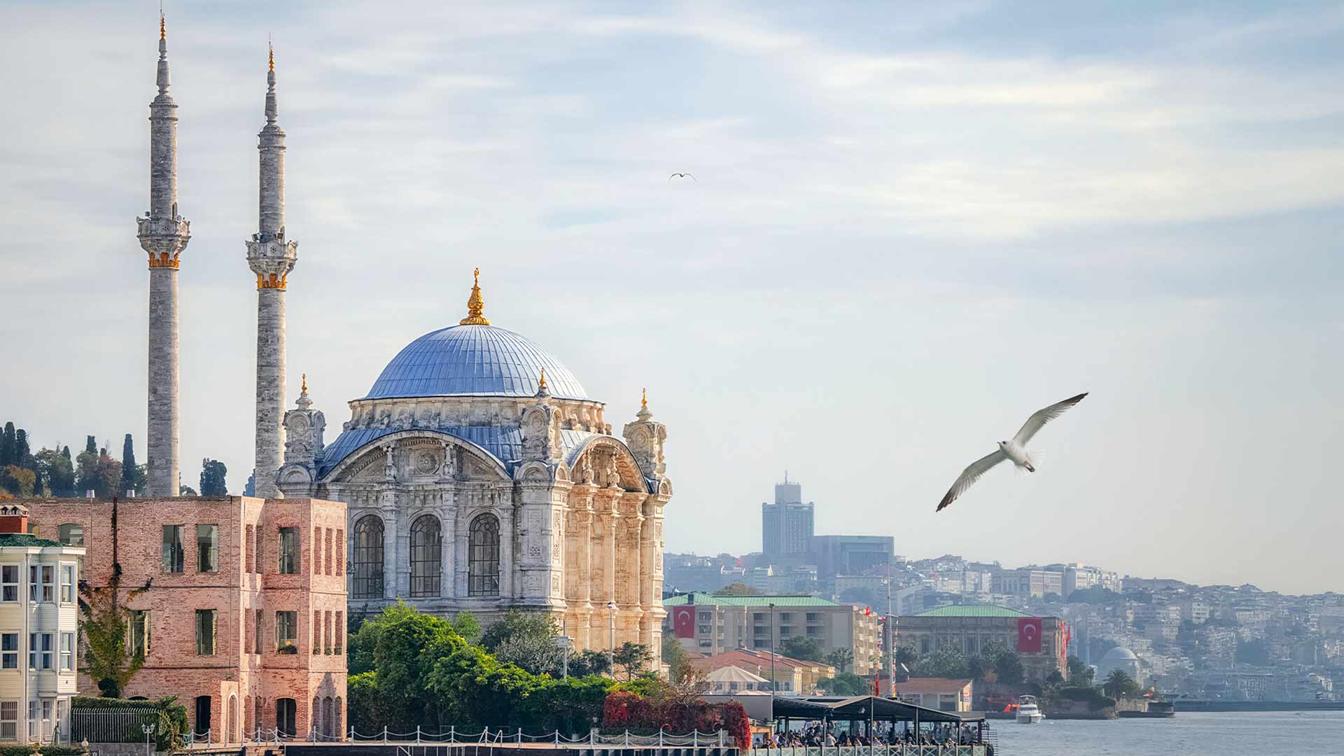 {{ no such element: dict object['name'] }}