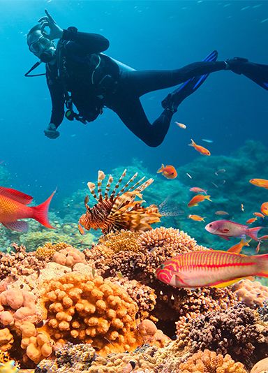 عطلات الرياضات المائية 