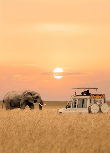  عطلات الحياة البر