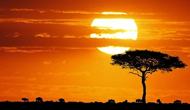 Valentines East Africa Explorer Nairobi Kigali & Uganda Tour