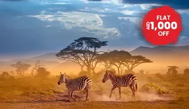 A Wild Safari In Kenya