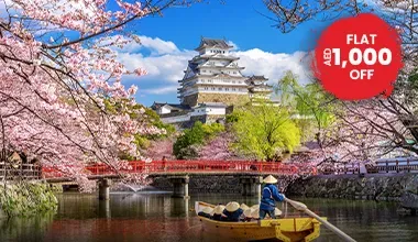 Japan cherry blossom 2027