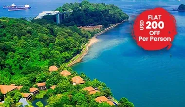 Singapore Night Safari Universal Studios Tour