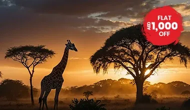 Tanzania safari zanzibar beach escape