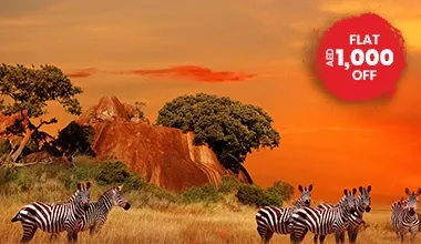 Tanzania safari