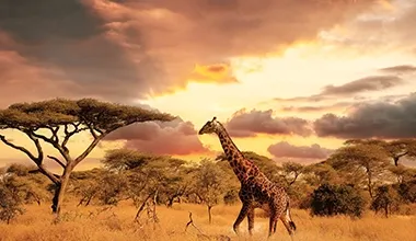Tanzania highlands adventure