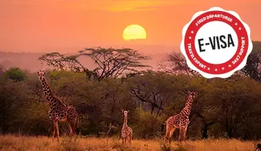 Kenya Eid al Adha Adventure