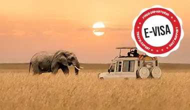 Kenya Eid al Adha Experience