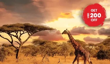 Tanzania highlands adventure