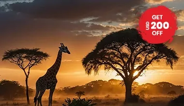 Tanzania serengeti ngorongoro zanzibar